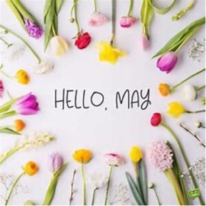 hello may flowers
